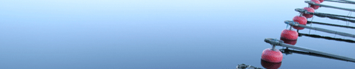 Aphesys Networks Success Stories